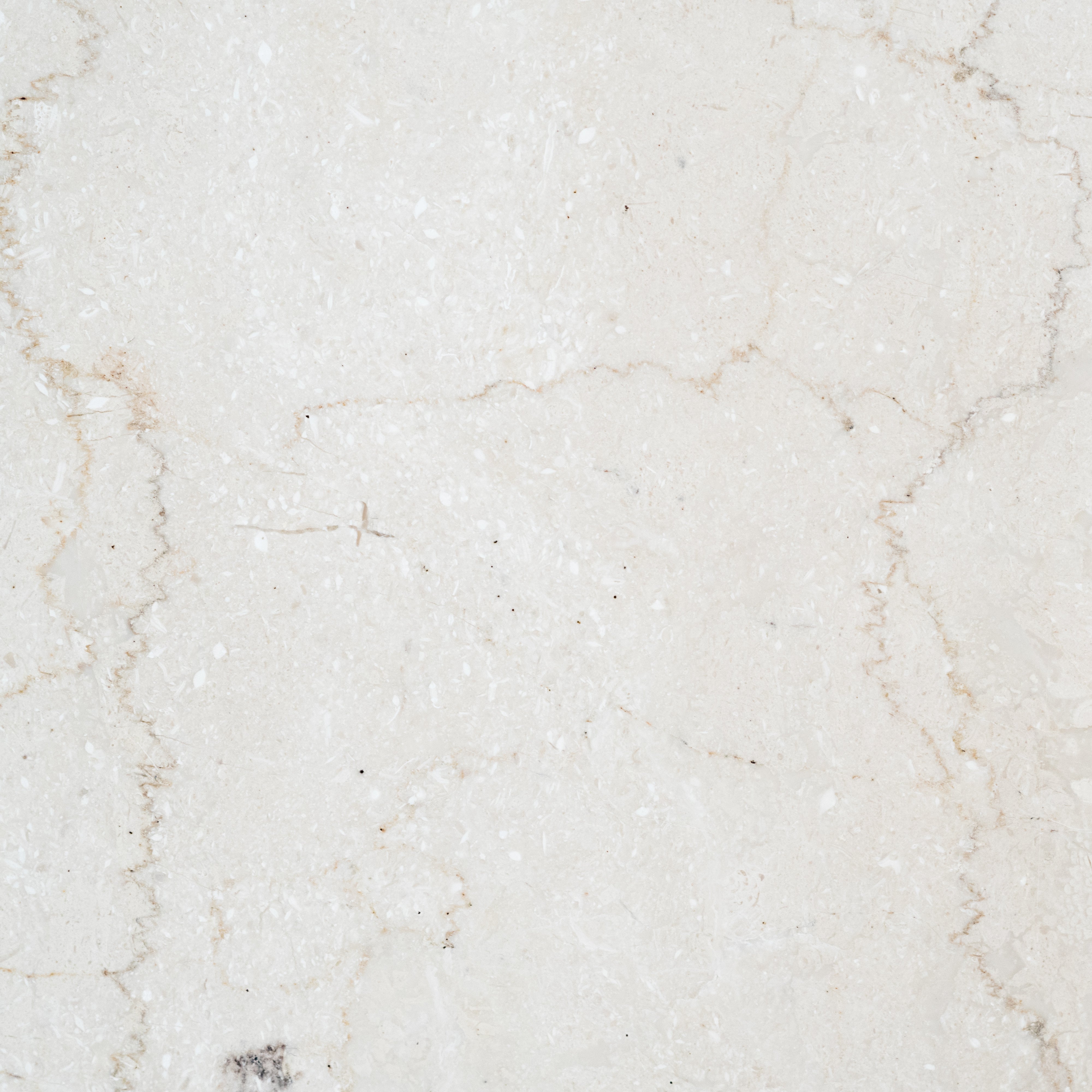 Crema Ivory Marble Tile - Polished | Stone & Tile Shoppe