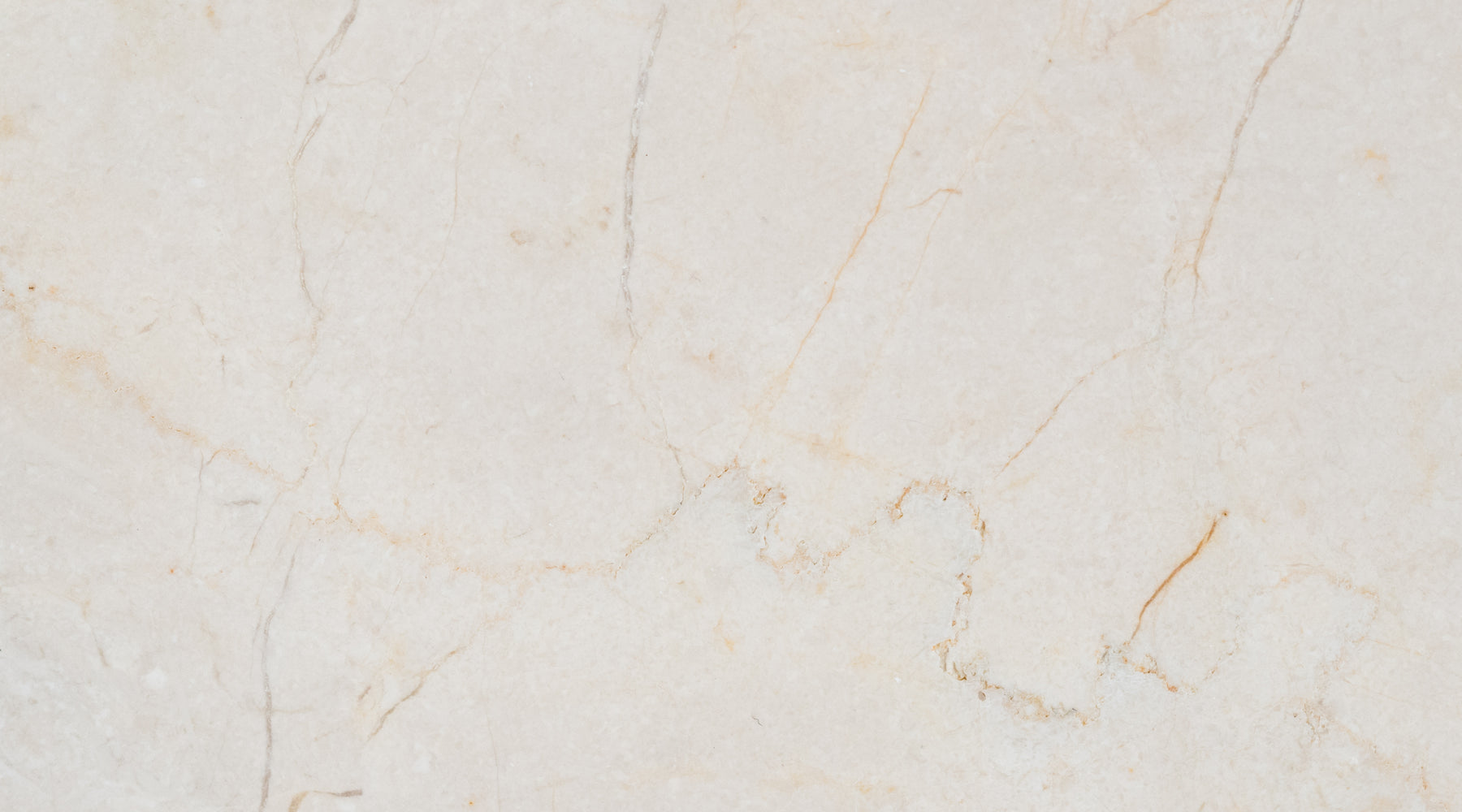Crema Marfil Standard Marble Tile - 9" x 18" x 3/8" Honed