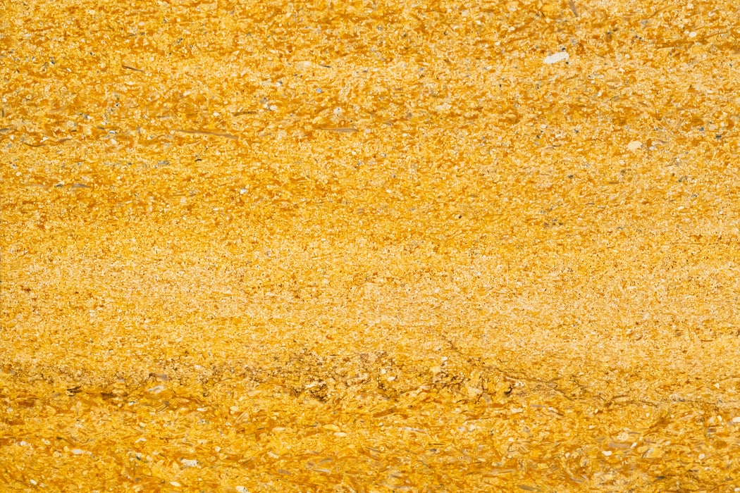 Full Tile Sample - Desert Gold Vein Cut Limestone Tile - 24" x 24" x 5/8" Honed