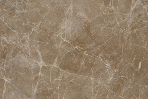 Full Tile Sample - Emperador Light Marble Tile - 12" x 12" x 3/8" Polished