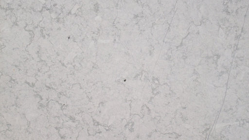 Full Tile Sample - Everest Gray Limestone Tile - 16" x 16" x 3/8" Honed