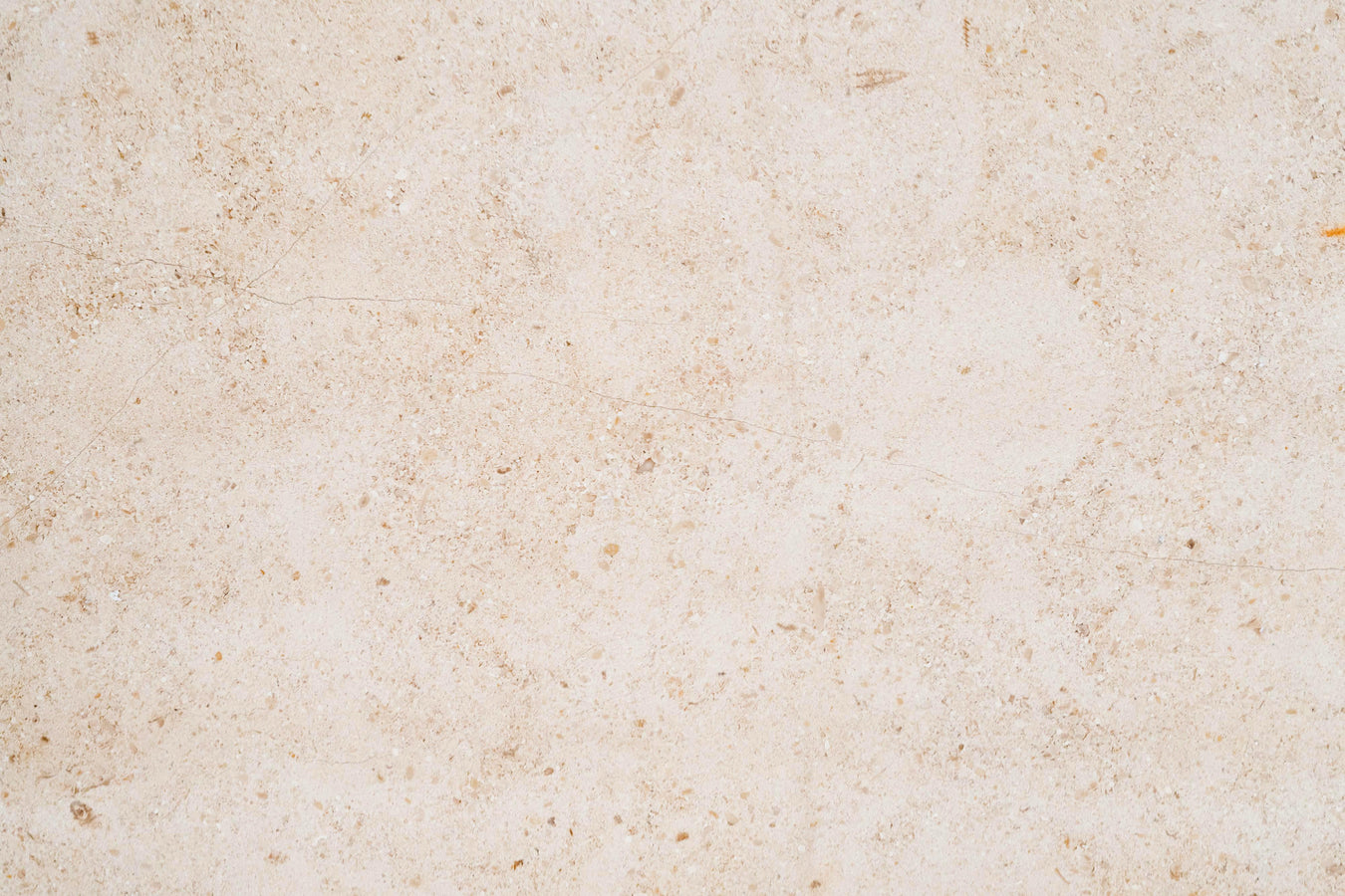 12 x 36 Backyard Tiles
