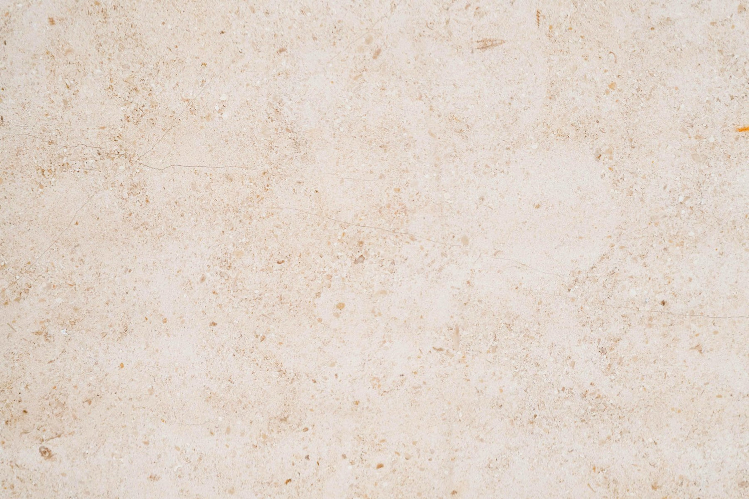 Full Tile Sample - Gascoigne Beige Limestone Tile - 12" x 24" x 1/2" Honed
