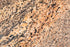 Giallo California Granite Tile - 12" x 12" x 5/16" Polished