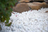 Piedra Pebbles Himalaya White LPEBMHIMWHI2NAT40 Natural Marble