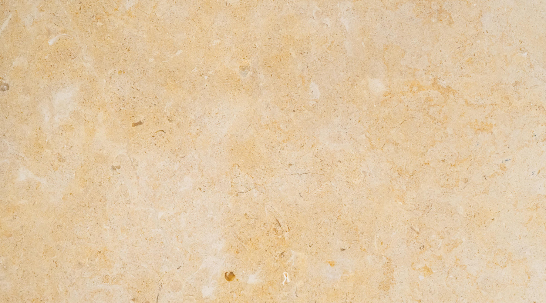 Honed Jerusalem Gold Limestone Tile 