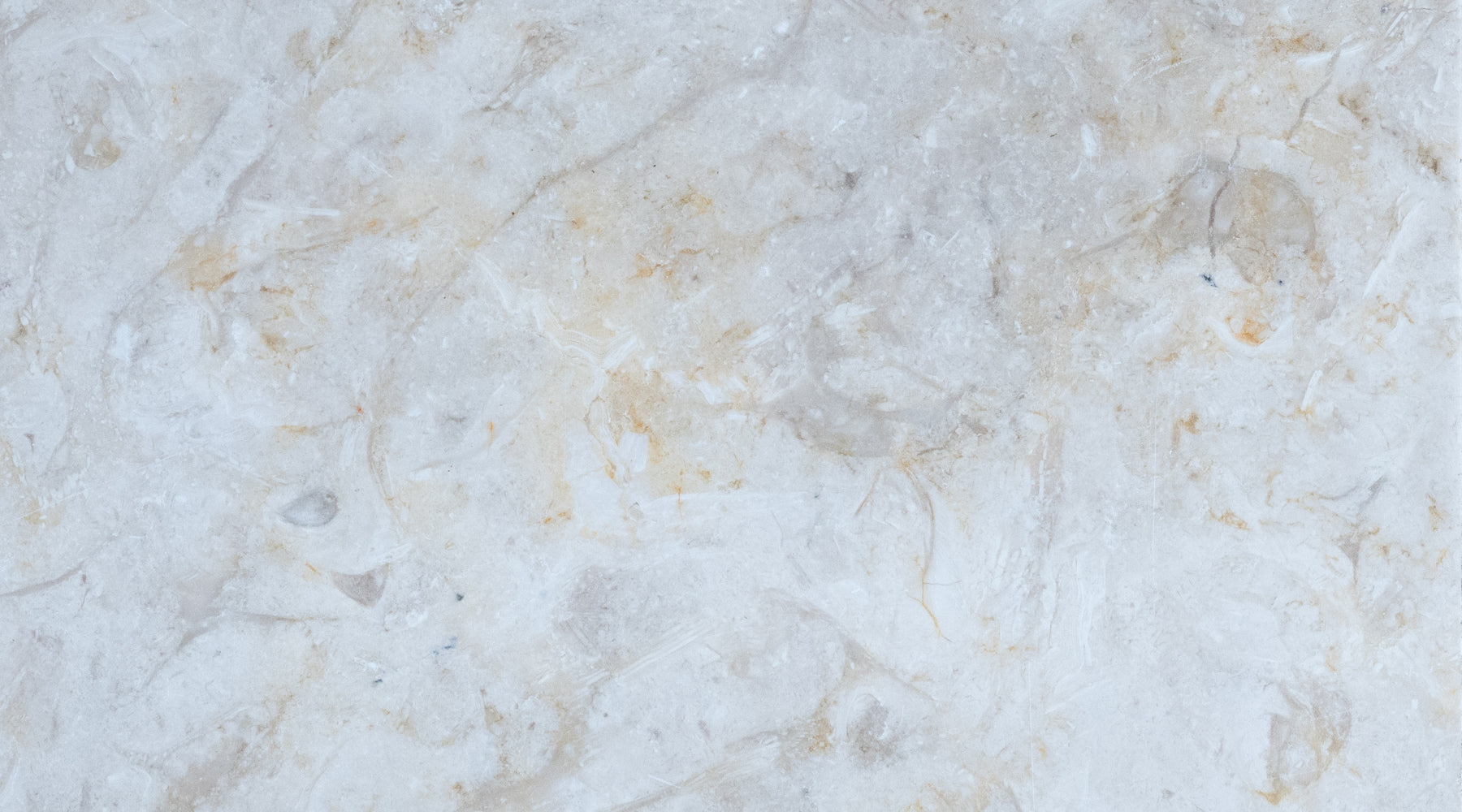 Jerusalem Grey Gold Limestone Tile - 18" x 18" x 1/2" Honed