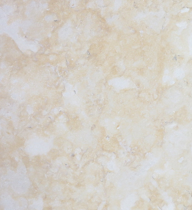 Full Tile Sample - Jerusalem Gold Dark Limestone Coping - 12" x 16" x 2" Brushed