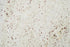Full Tile Sample - Kashmir White Granite Tile - 12" x 12" x 3/8" Polished