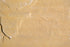 Full Tile Sample - Kokomo Gold Light Sandstone Tile - 12" x 12" x 1/2" - 3/4" Natural Cleft Face & Back