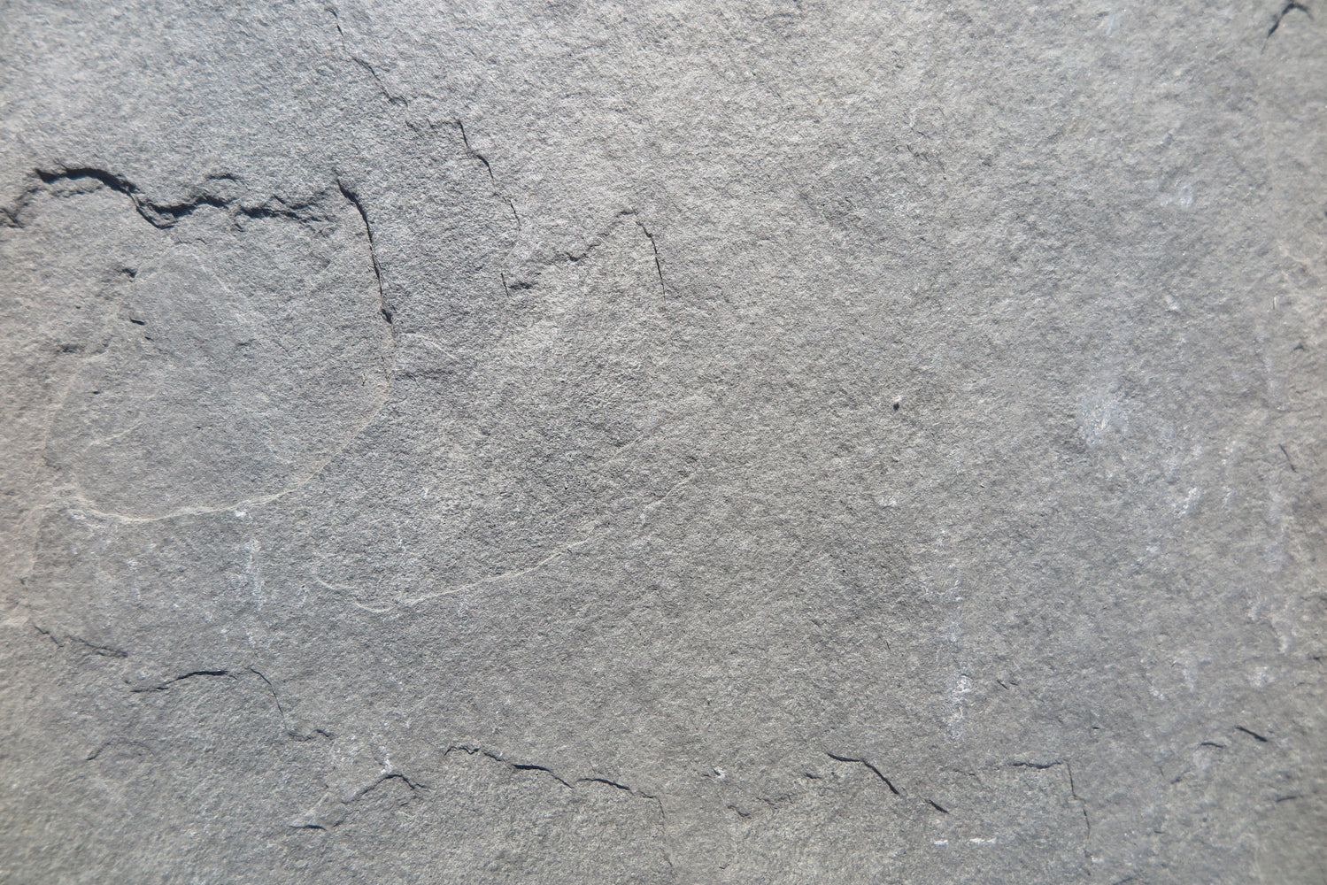 Full Tile Sample - Kota Gray Limestone Tile - 12" x 12" x 1/2" - 3/4" Natural Cleft Face & Back