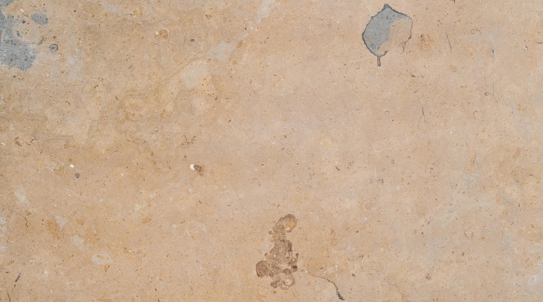Honed Lagos Gold Limestone Tile - 12" x 12" x 3/8"