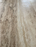 Madera Vein Cut Brushed Travertine Tile - 18" x 36"