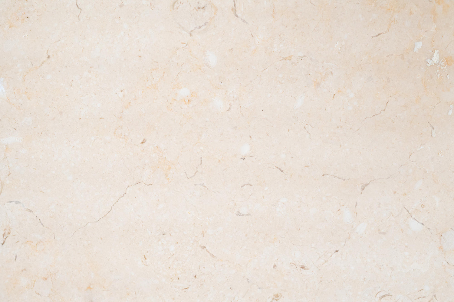 Marsala Extra Limestone Tile - 18" x 18" x 1/2" Honed