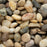 Piedra Pebbles Mixed Marble LPEBMMIX1.2POL40