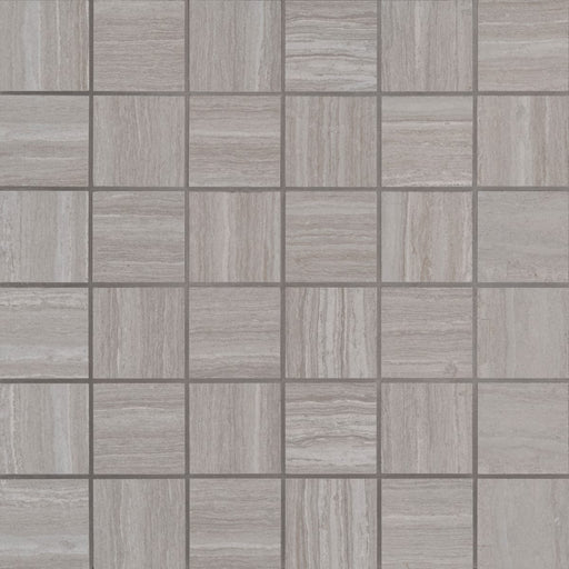 Essentials Charisma Silver NCHASIL2X2