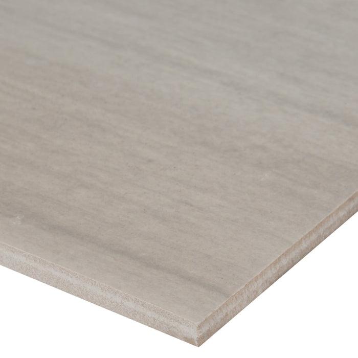 Palmetto Bianco Matte NPALBIA6X36