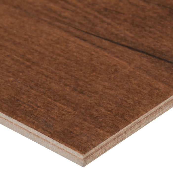 Palmetto Chestnut Matte NPALCHE6X36