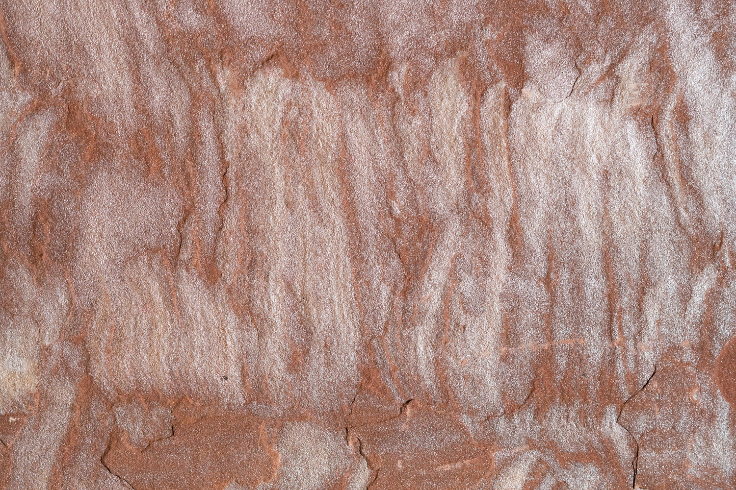 Full Tile Sample - Pink Leather Sandstone Tile - 18" x 18" x 1/2" Natural Cleft Face, Gauged Back