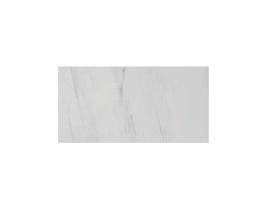 Full Tile Sample - Premium Dolomite Porcelain Tile - 12" x 24" x 3/8" Polished