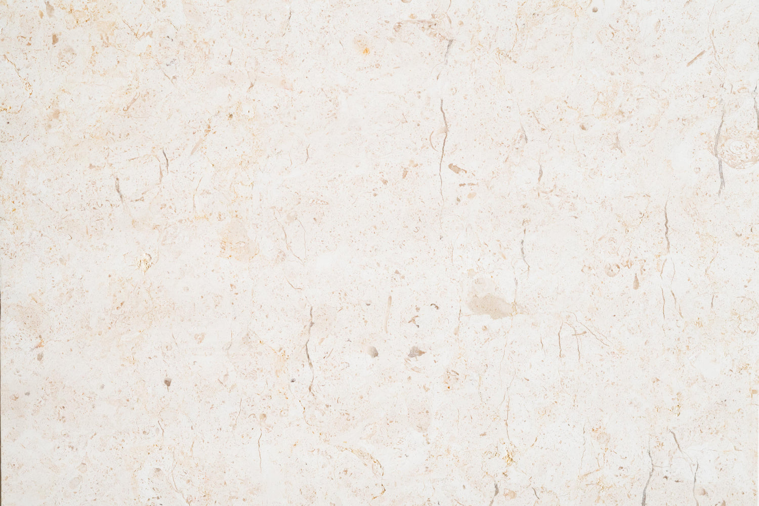 Ramon Bone Limestone Tile - 16" x 16" x 1/2" Honed