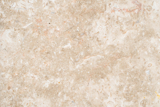 Full Tile Sample - Ramon Gray Limestone Tile - 12" x 12" x 3/8" Honed