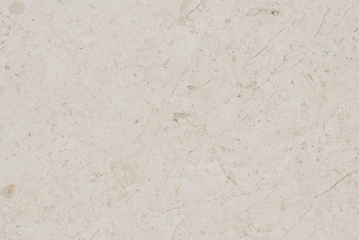 Full Tile Sample - Ramon Bone Limestone Tile - 16" x 16" x 1/2" Polished