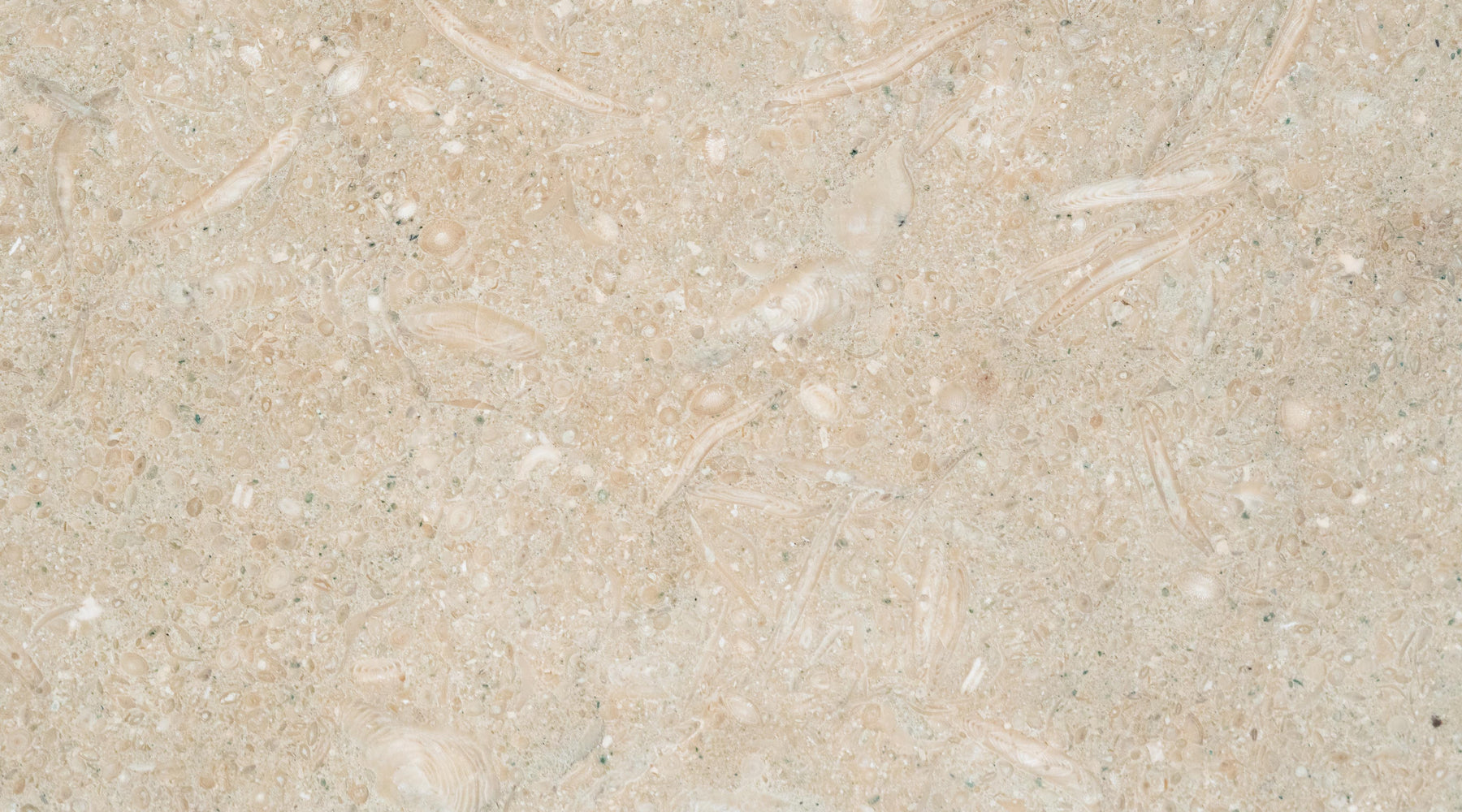 Sea Grass Limestone Tile - 18" x 18" x 3/8" - 1/2" Honed