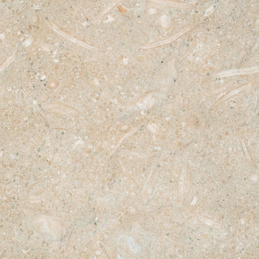 Sea Grass Limestone Tile - 18" x 18" x 3/8" - 1/2" Honed