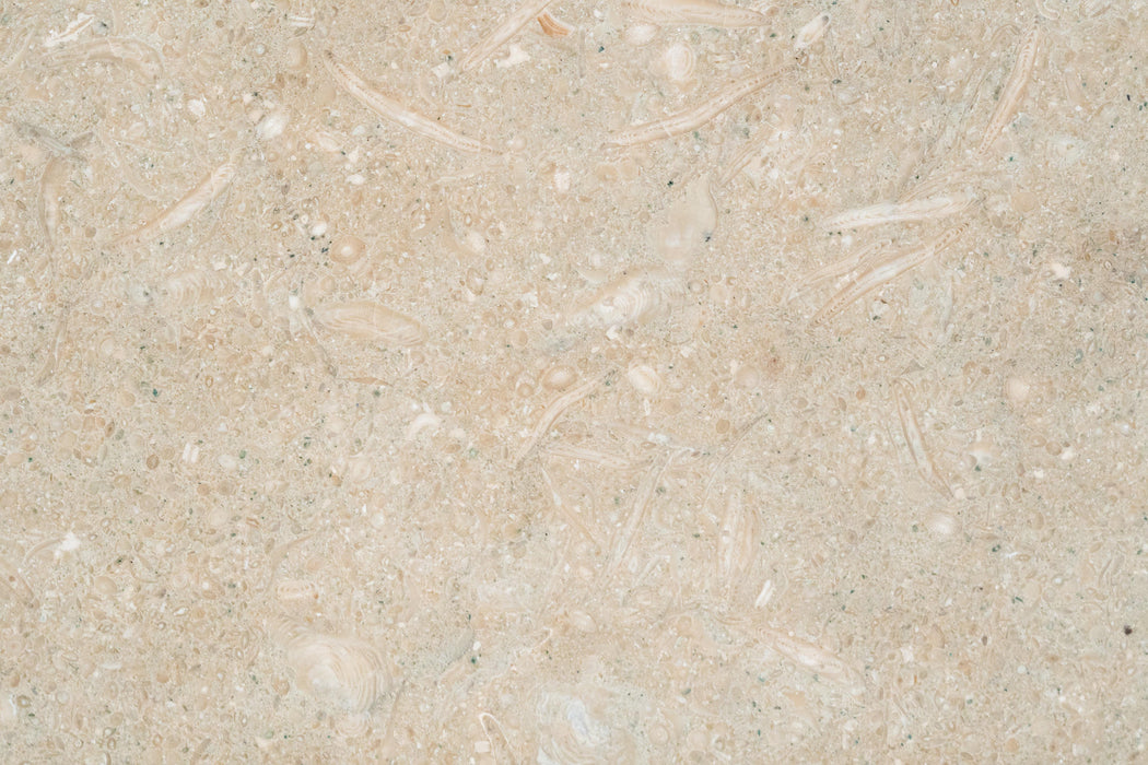Sea Grass Limestone Tile - 18" x 18" x 3/8" - 1/2" Honed
