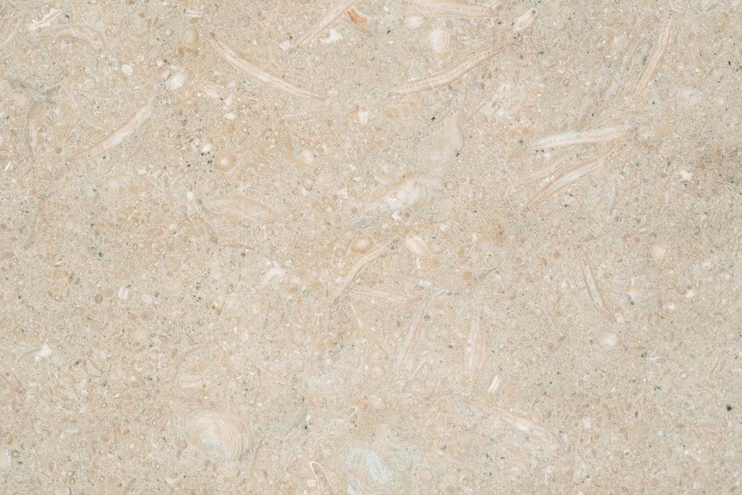 Full Tile Sample - Sea Grass Limestone Tile - 12" x 24" x 3/8" Honed