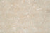 Full Tile Sample - Sea Grass Limestone Tile - 12" x 24" x 3/8" Honed