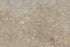 Full Tile Sample - Sea Grass Limestone Tile - 12" x 12" x 1/2" Polished