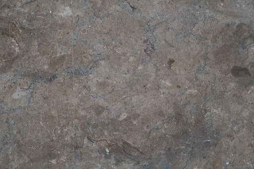 Shark Skin Limestone Tile - 18" x 18" x 1/2" Honed