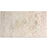Shell Stone Limestone Tile - 18" x 36" Brushed