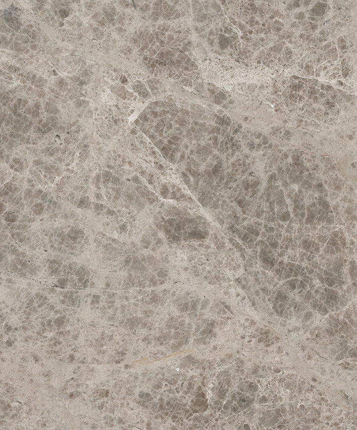 Full Tile Sample - Silver Sky Marble Tile - 6" x 6" x 3/8" Polished