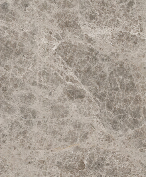 Full Tile Sample - Silver Sky Marble Tile - 12" x 24" x 1/2" Polished
