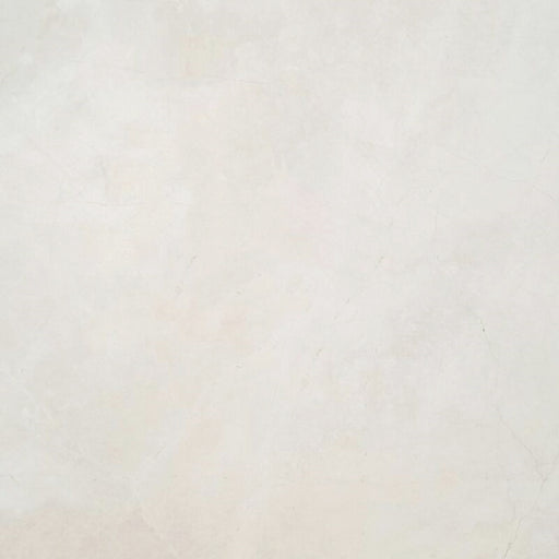 Full Tile Sample - Snow White Marble Tile - 24" x 24" x 1/2" Polished