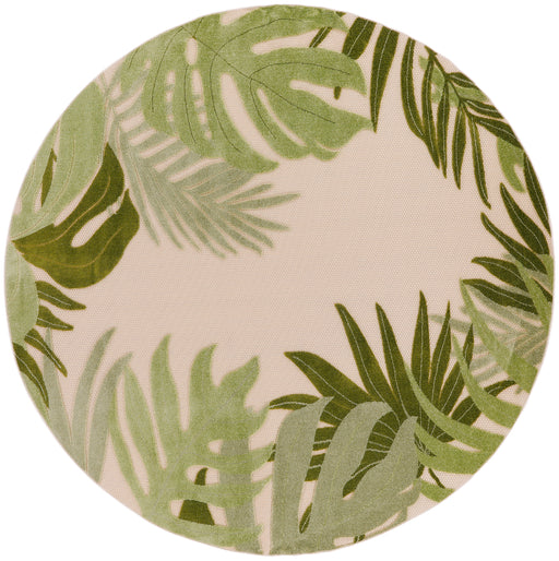 Aloha Ivory Green IVGRE