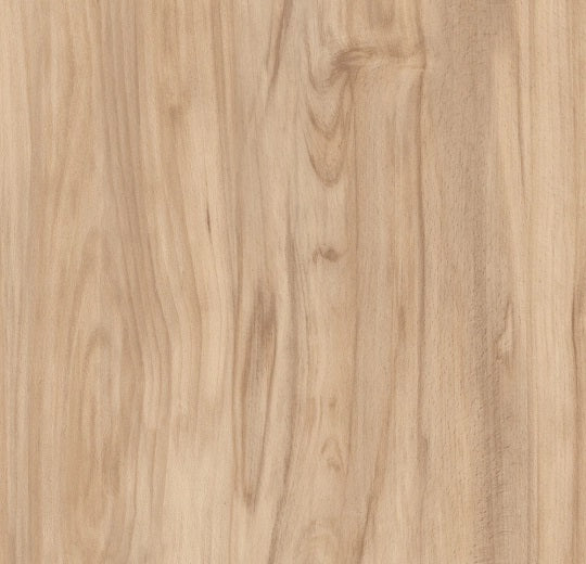 Impressa Blond Beech TI9101