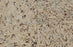 Full Tile Sample - Topazio Granite Tile - 12" x 12" x 3/8" Polished