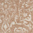 Damask Beige Ivory BGEIV DAS06