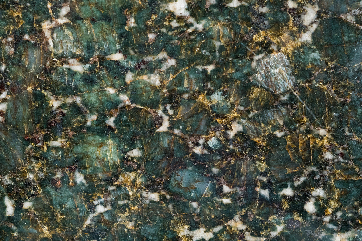 Verde Butterfly Granite Tile - Polished