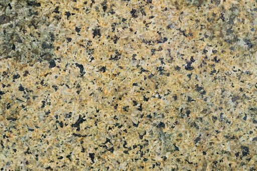 Full Tile Sample - Verde Tunas Granite Tile - 12" x 12" x 3/8" Polished